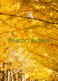 GINKGO AVENUE-hisatoto 4