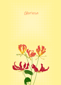 October's birth flower,  Gloriosa