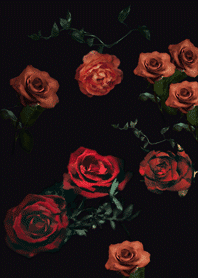 rose and rose