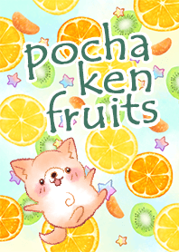 Pochatto dog's fruits.