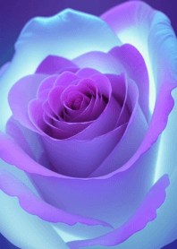 Beautiful rose MojAd