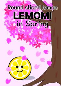 Lemomi with Cherry Blossoms.