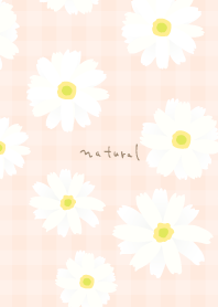White Marguerite Simple5