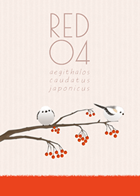 銀喉長尾山雀/紅 04.v2