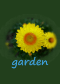 my beautiful garden