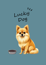 Cute Pomeranian dog(Green Lake)