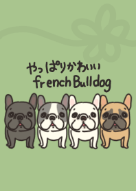 veryvery cute frenchbulldog