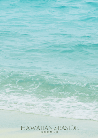 HAWAIIAN-SEASIDE SHELL- 13