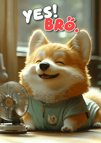 Yes, my brother - JP 01