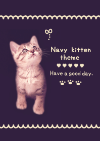 Navy kitten