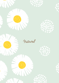 Daisy relaxed17 from Japan