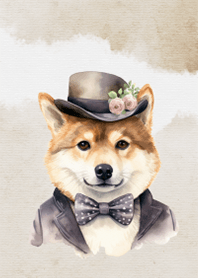 おしゃれな柴犬紳士