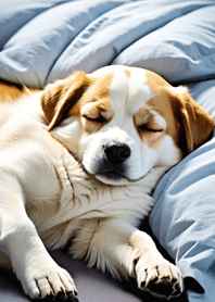 Mountain, Sea, and Moonlit Night d05b4a