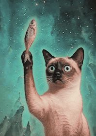 Starry Sky Mystery-Cat 1.0