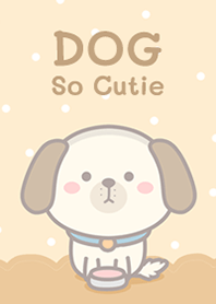 Dog So Cutie!