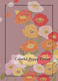 Colorful Poppy Flower2