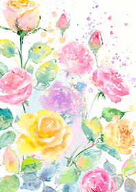 Beautiful rose flower(R4585)