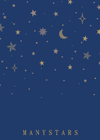 MANY STARS-NAVY 28