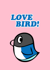 THE LOVEBIRD!!