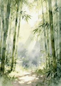 Bamboo Forest Morning