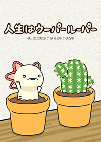 Life is Wooper Looper 主題 -Cactus-