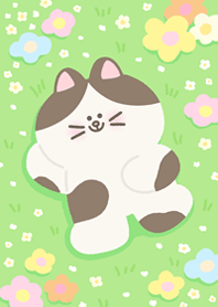 ดอกไม้กับน้องเหมียว
