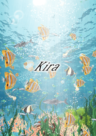 Kira Coral & tropical fish