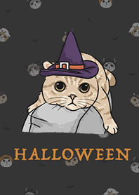 meow's halloween - carbon black