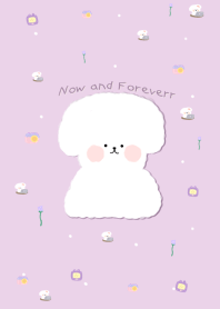Now and Foreverr