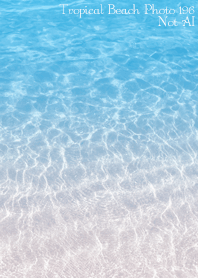 Tropical Beach Photo196 Not AI