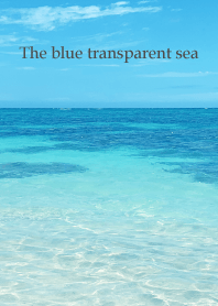 The blue transparent sea SHELL 15