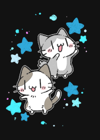 星空にゃんこ。