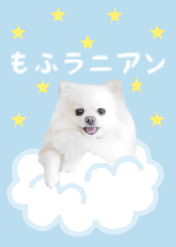 もふラニアン