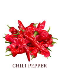 Flesh chili peppers 20