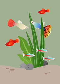 ตู้ปลาเสมือนจริง!(เทาเขียว)