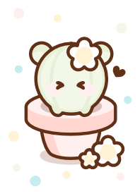 Baby bear cactus