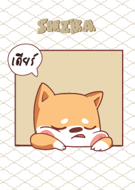 เดียร์ ใครไม่บะ ชิบะ 4 V12