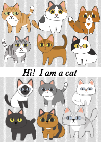 Hi ! I am a cat