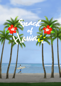 Beach of Hawaii
