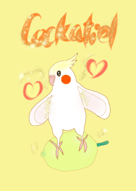 Hareruki of lovely cockatiel theme2