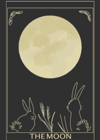Moon night sky rabbit