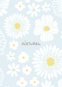 various white flowers from Japan