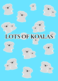 LOTS OF KOALAS-NEON BLUE-BLACK