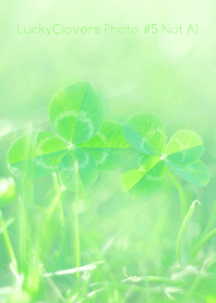LuckyClovers Photo #5-38 Not AI