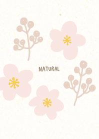 flowers and nuts cute27 from Japan