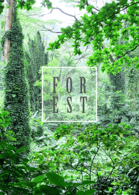 FOREST 2 #fresh