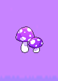 Mushroom happiness 10000
