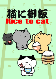 Rice to cat
