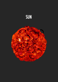 宇宙-太陽