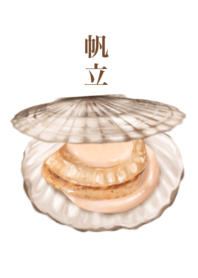 帆立　8